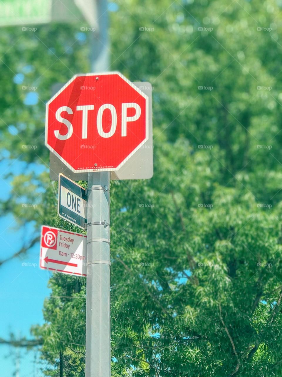 Road sign and tree