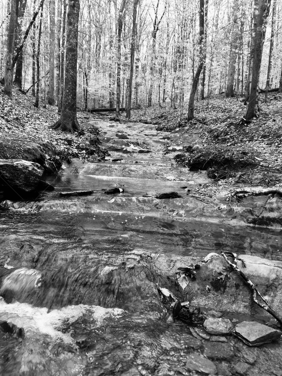 Black and white mountain stream 2