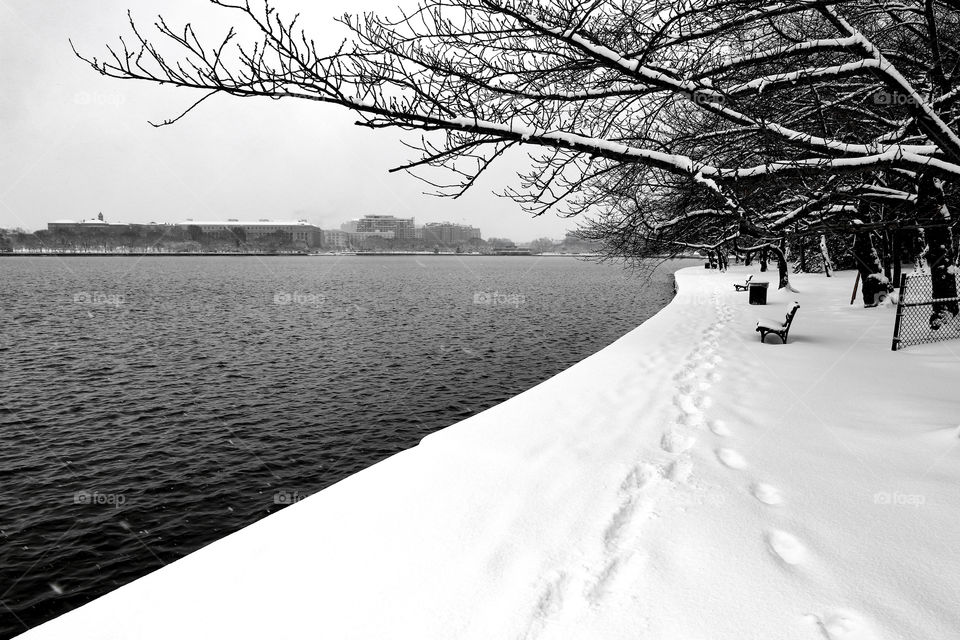 Snowy Day at the Basin