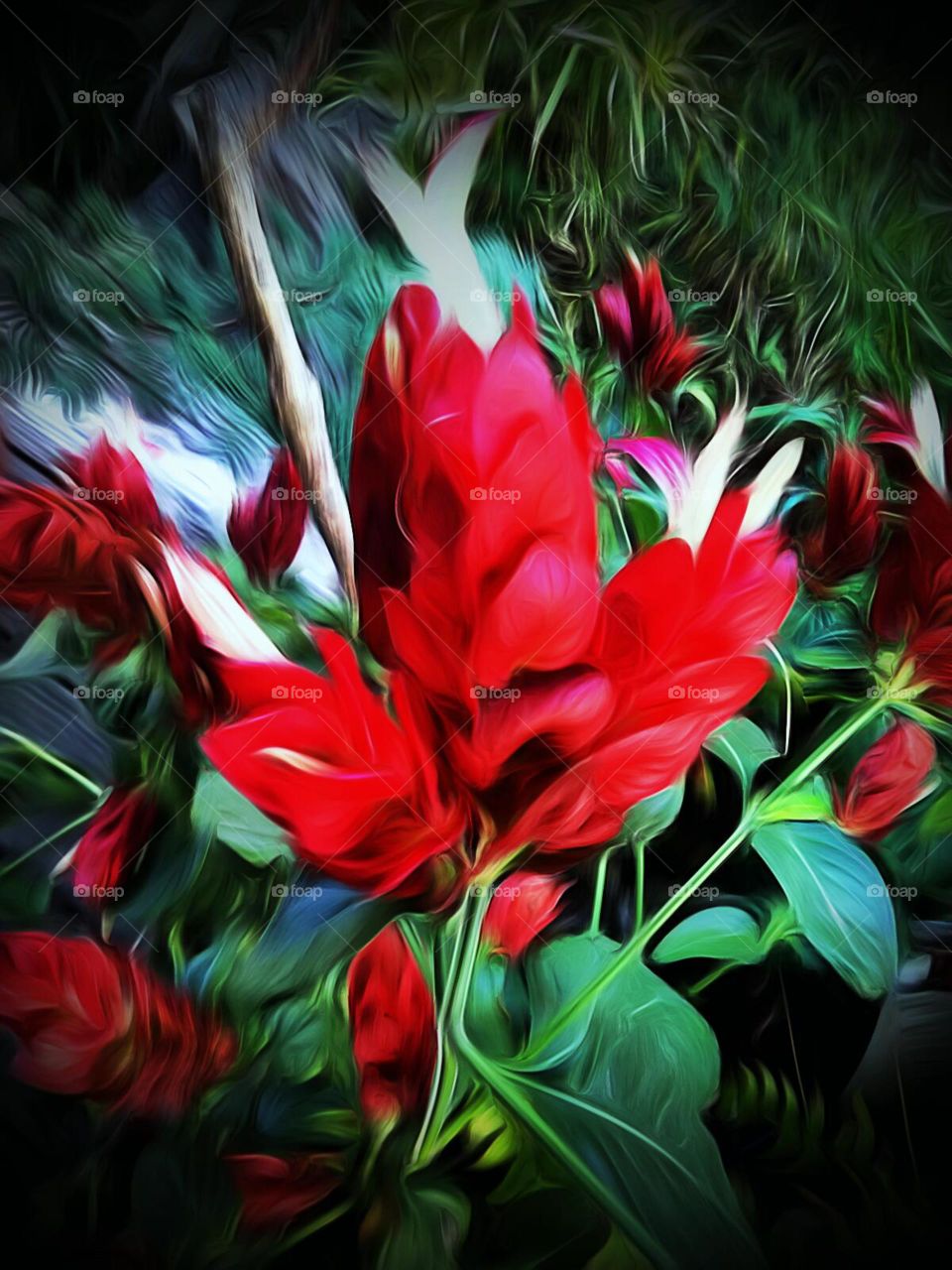 Vibrant Shrimp Plants