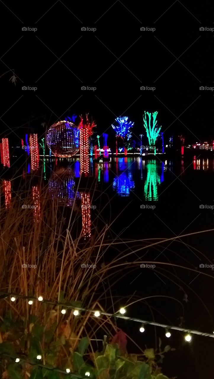 Nighttime landscape of  Phoenix Zoo lagoon at Christmas time