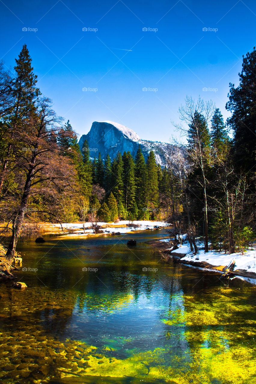 Half dome in Yosemite National park