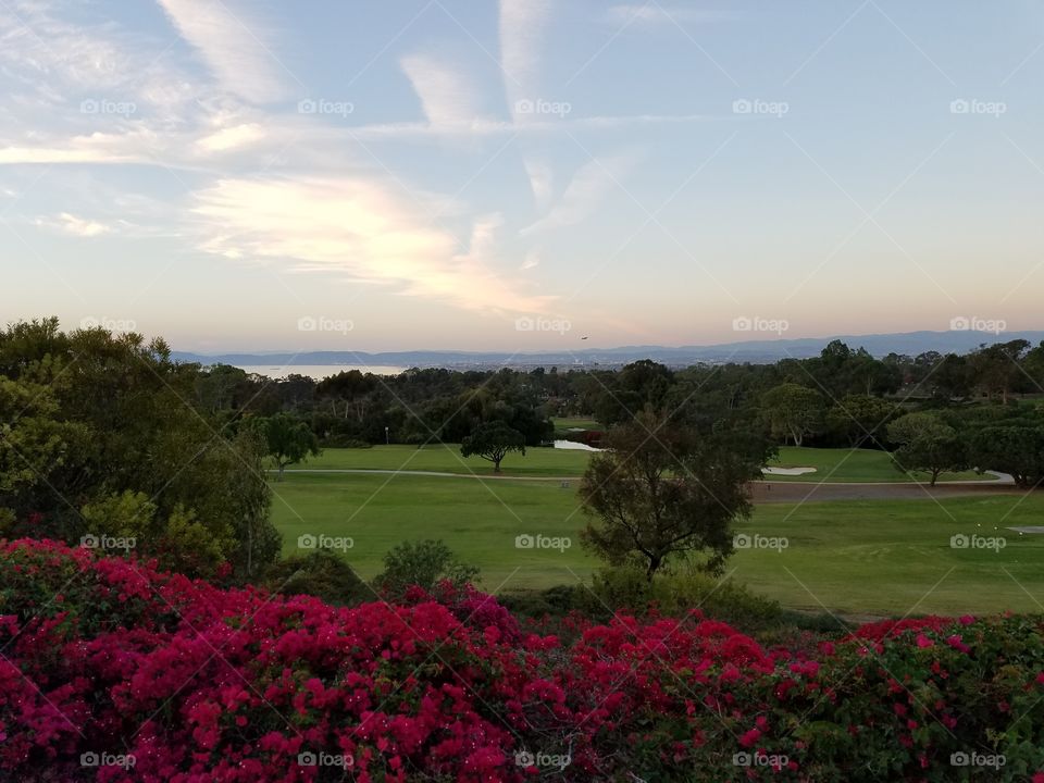 Golf course viewpoint