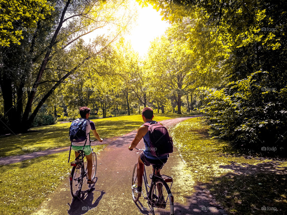 students riding their bikes at a natural park. Beam of light over the trees.