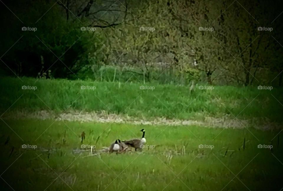 Driving the Back Roads and enjoying everything around us