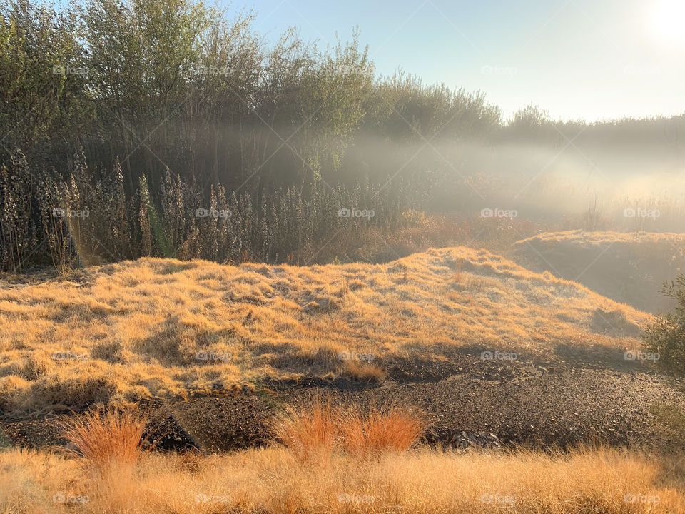 Early winters morning run revealed this beautiful scene