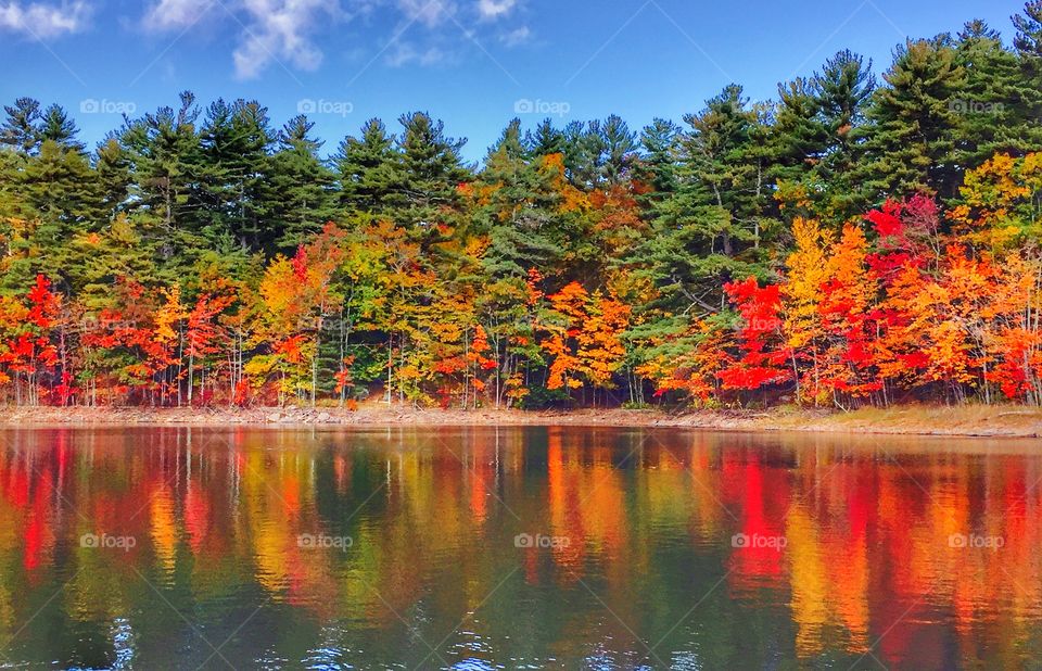 The brilliant colors of Leaf Peeping in York, Maine