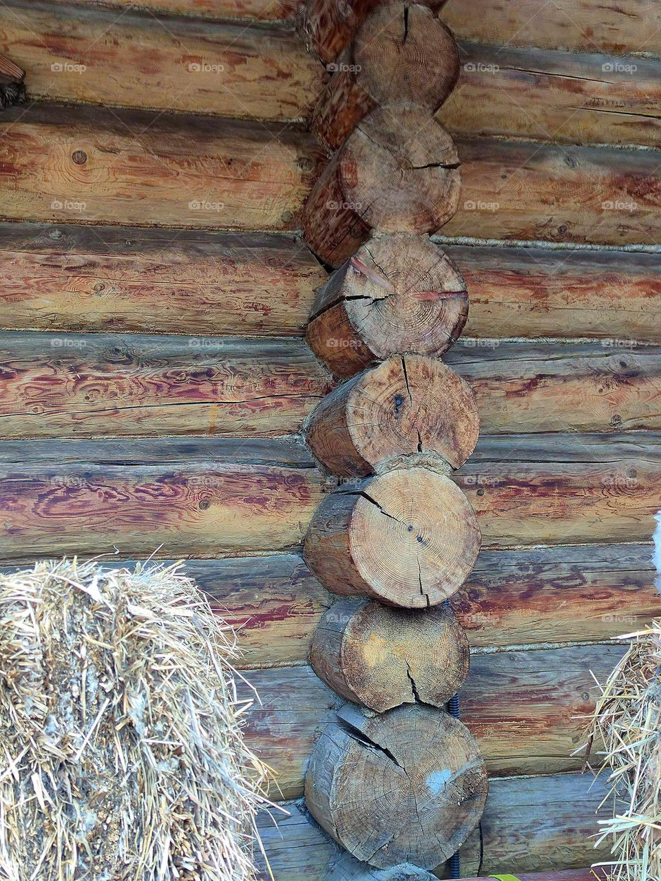 Circles.  Part of a wooden tree whose corners are built from round logs
