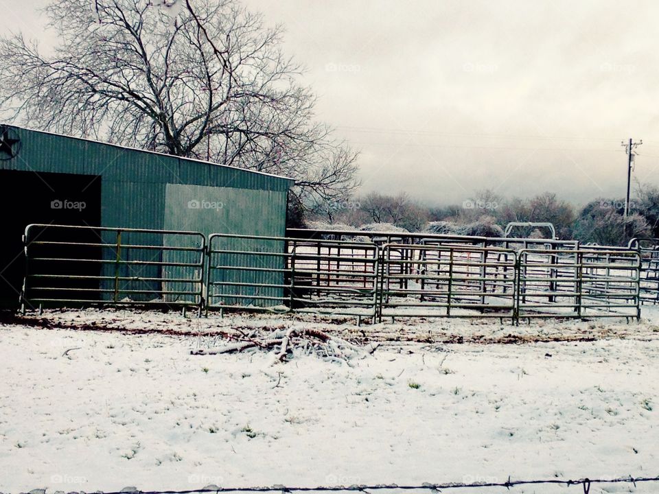 Snow covered pasture and pens.