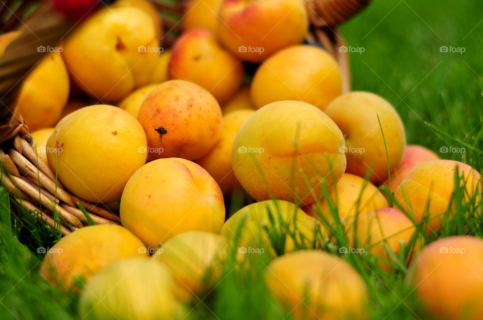 Peaches in basket