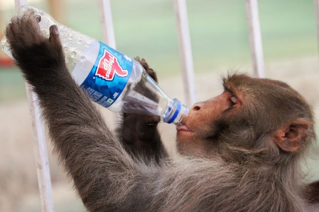 everyone needs softdrink to beat the heat.
as there is also one message I want convey through this picture that start saving water before this Crysis of empty bottle come to everyone for permanent basis. 
start thinking, Start acting 😊