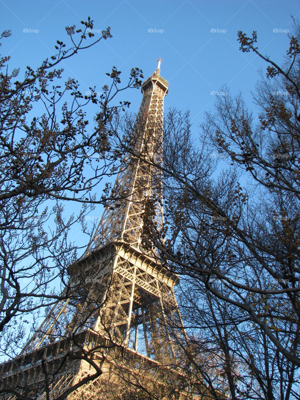 trees tower steel bush by angeljack