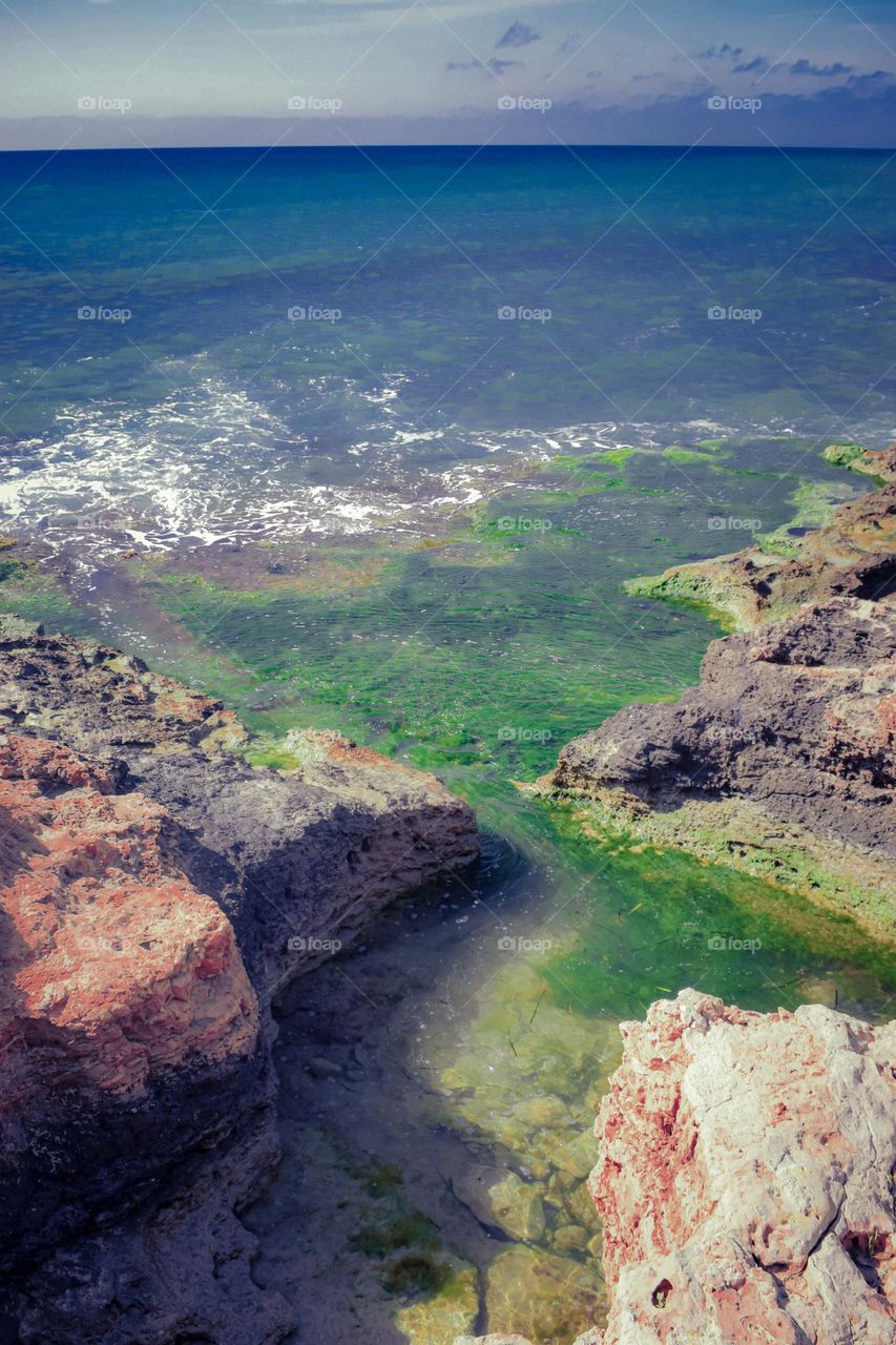 sea seaweed rock pool