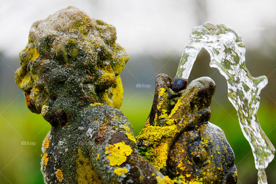 Fountain . Garden 