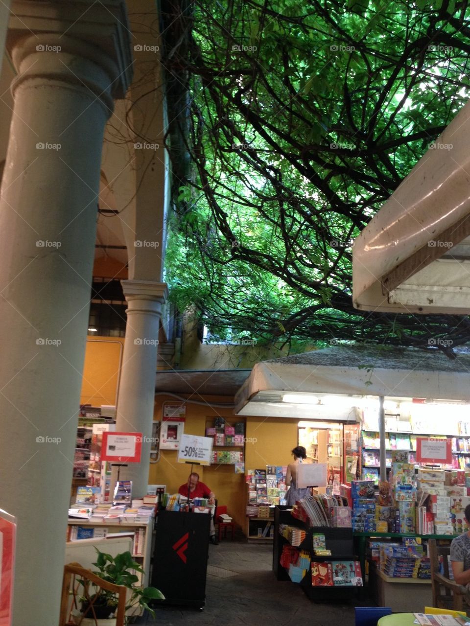 Bookstore in Pisa