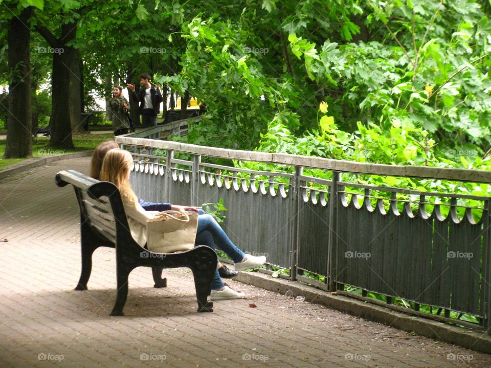 Park, Wood, Bench, Outdoors, Nature