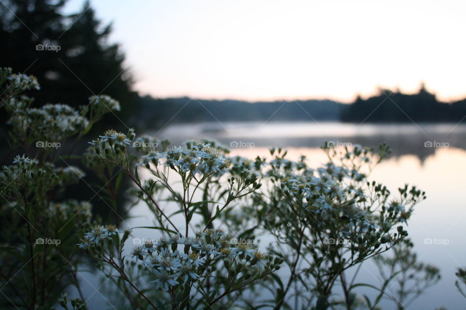 On a lake before dawn