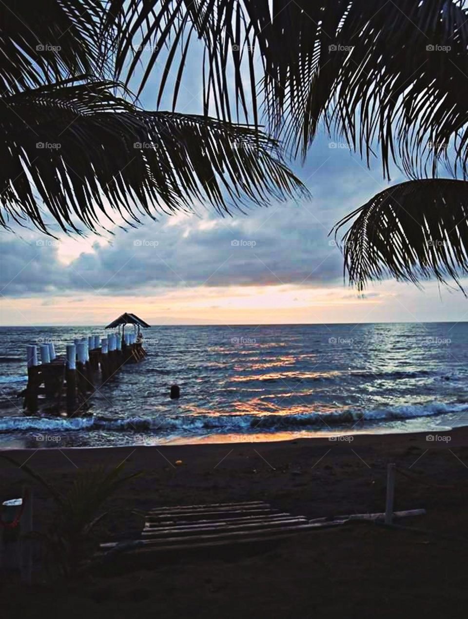 A View from the Shore!