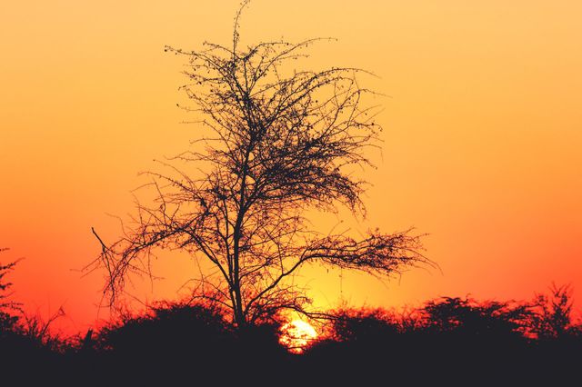african sky, sunset in Namibia