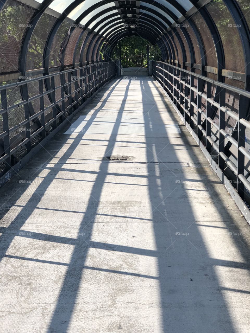 Sunlit skywalk over US1