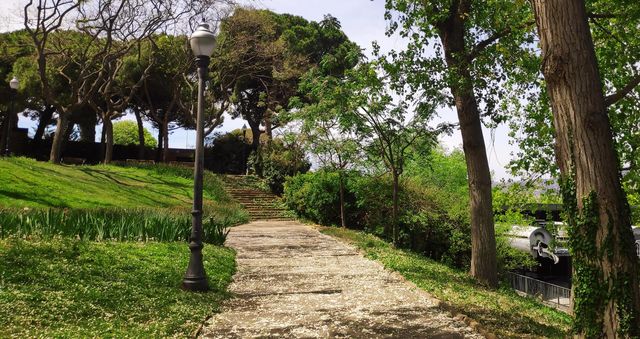 Spring road.