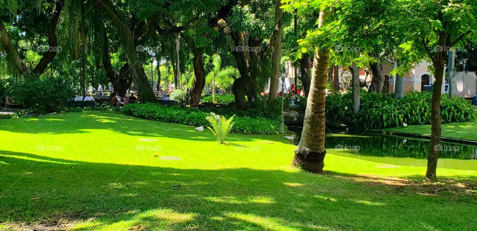 Jardim do Museu da República