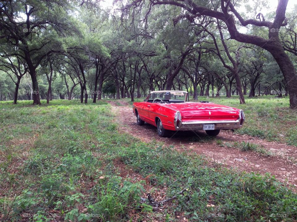 1968 Mercury Convertible rear view