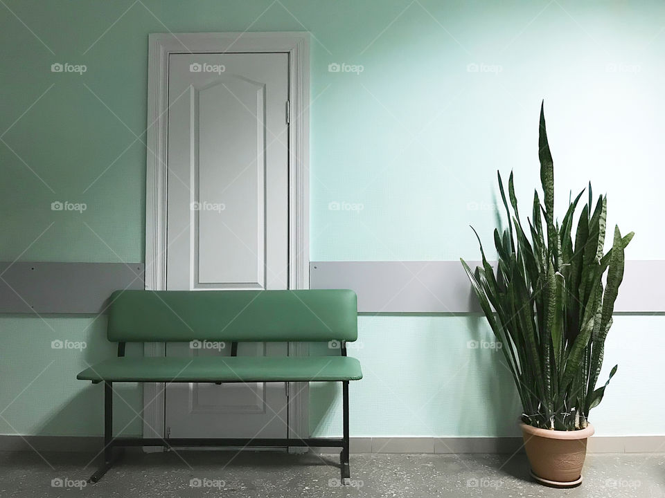 Minimal interior design with a green bench in front of white doorway and a house plant on blue pastel wall background 