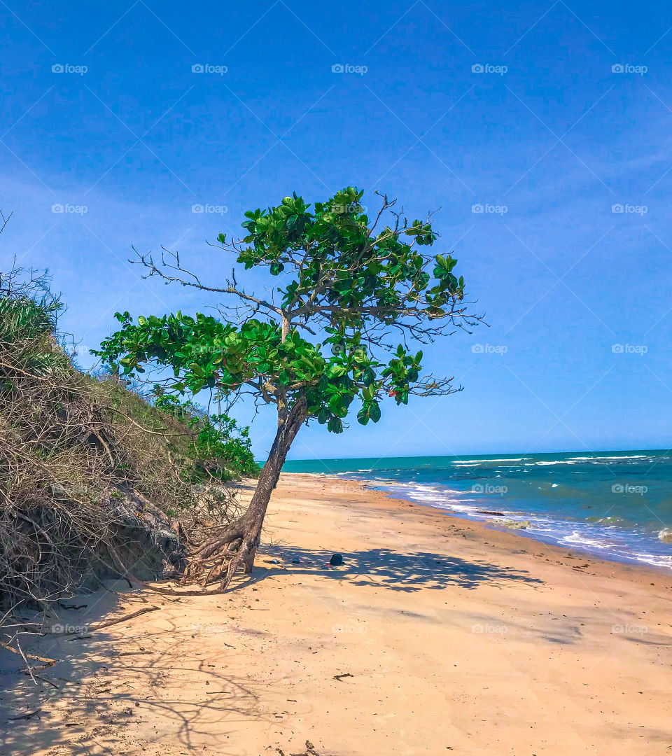 Cumuruxatiba Bahia Brasil 🇧🇷