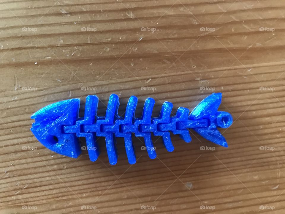 This is a blue 3D printed fish. It’s moveable and is made out of 8 pieces. This fish has it’s own album. Search for: “3D printed fish” in albums, or just look at my profile for the album.