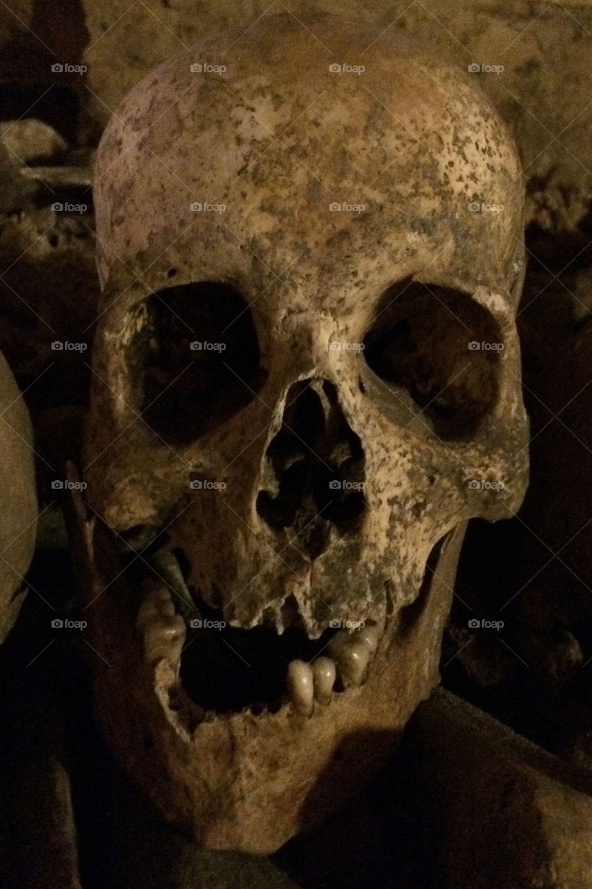 Skull . Skull from catacombs of Paris