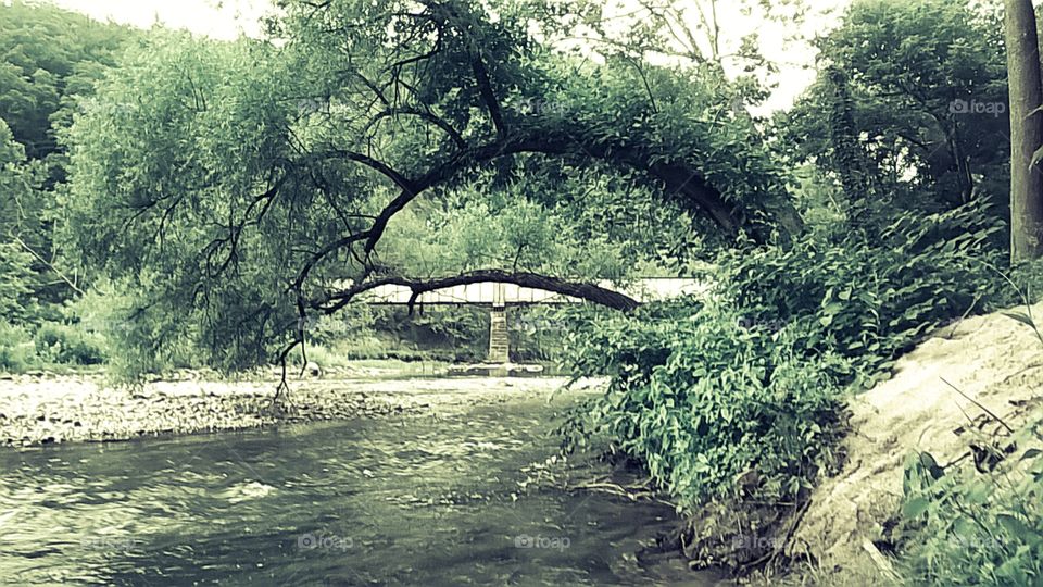 Gorgeous, greenest place on Earth.