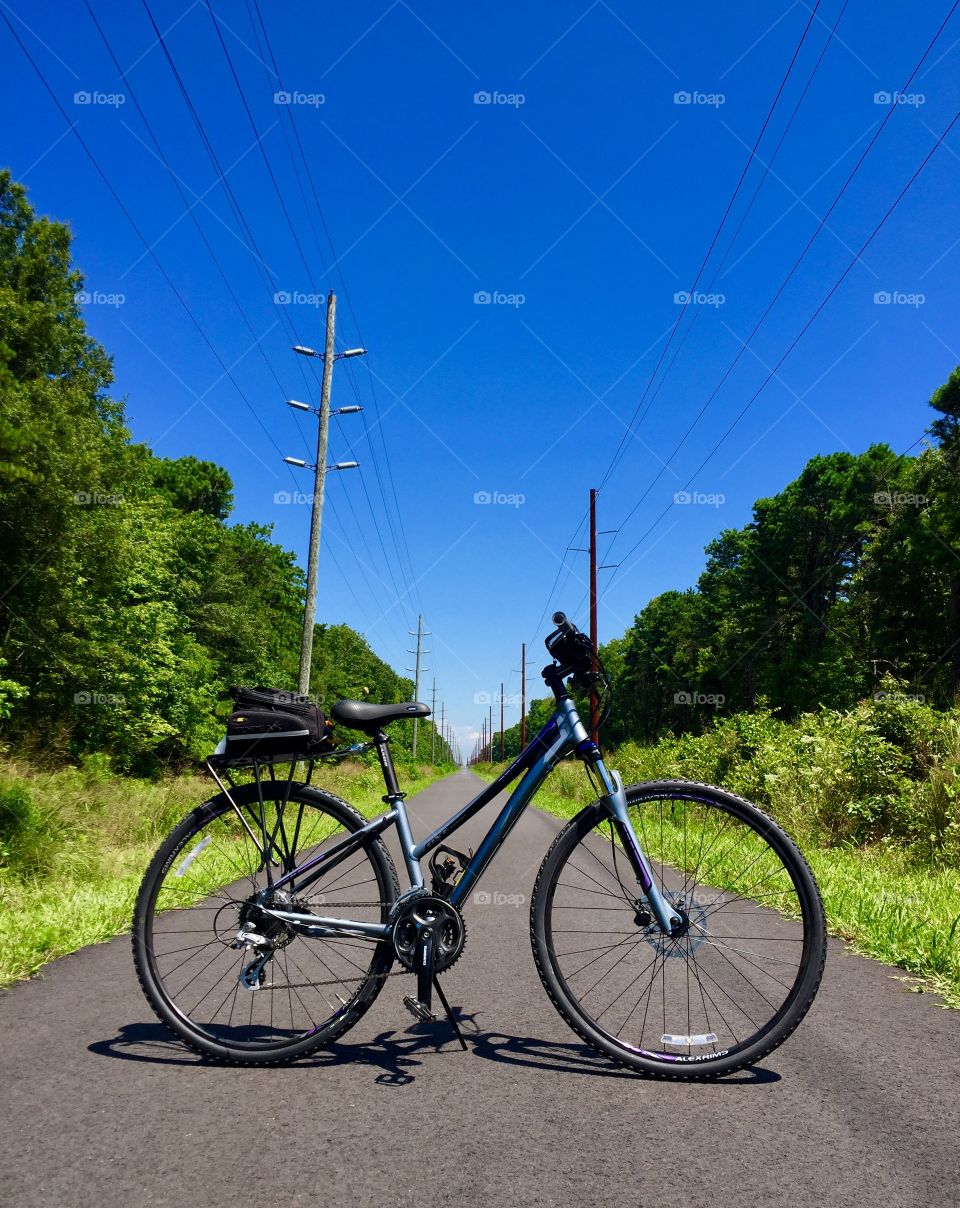 Janis DXT Comp Femme on the Cape May County Bike Path, New Jersey