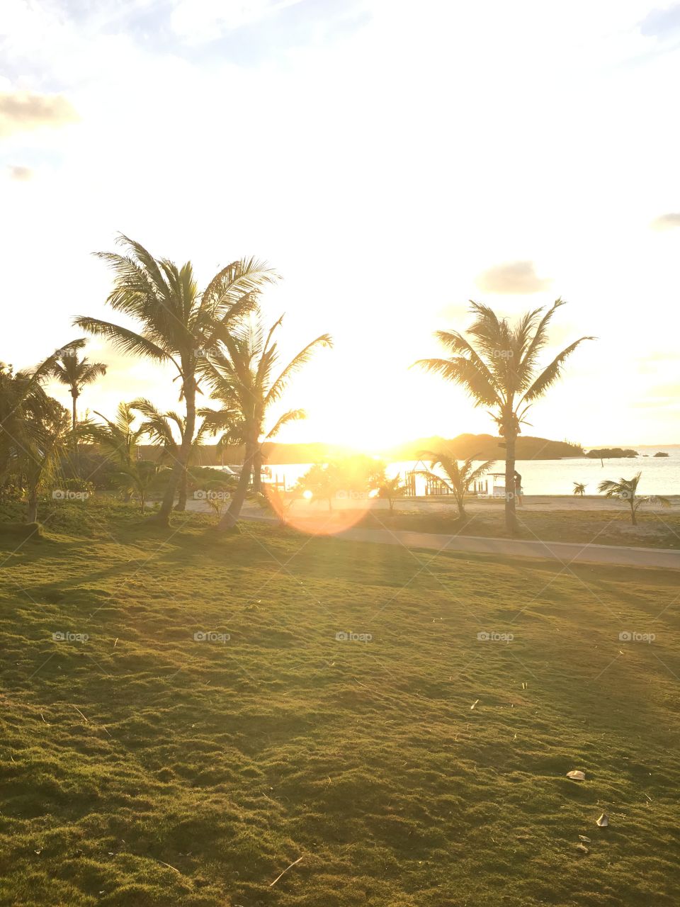 Coconut sunset