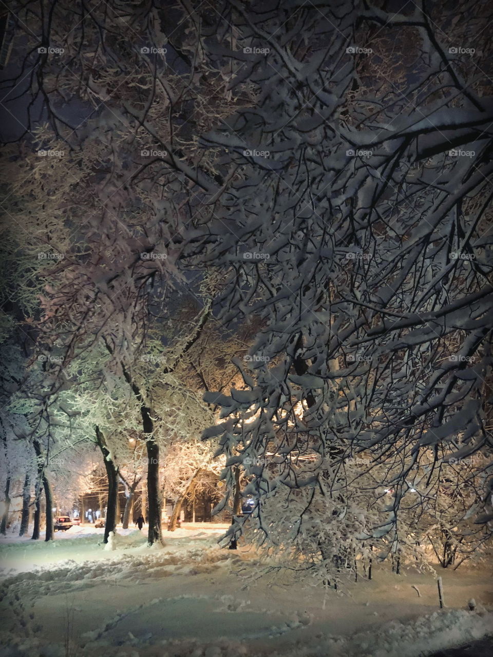 Since we've no place to go Let it snow, let it snow, let it snow ❄️
© F.Sinatra