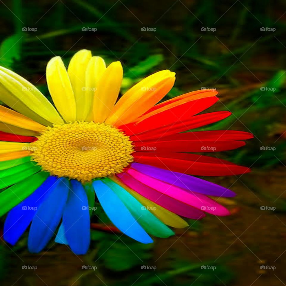 Colourful image is more than all image because it gives us  positive sense.