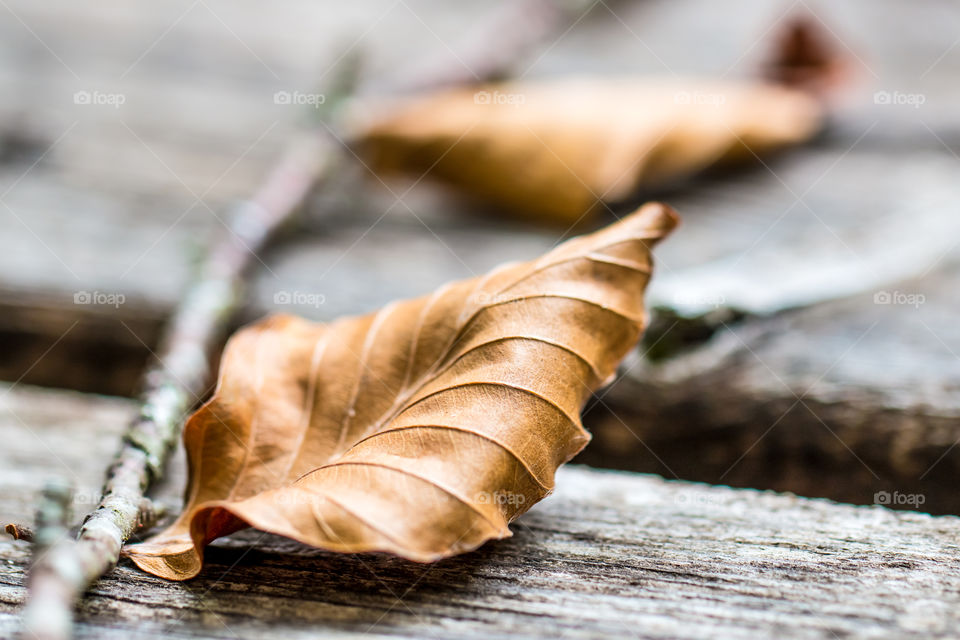 Autumn Dry Leaves On Aged Wooden Table