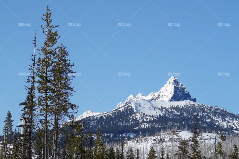 The jagged snow covered peak of Mt. Washington in Oregon’s forests and Cascade Mountain Range against a clear blue sky on a sunny spring day. 