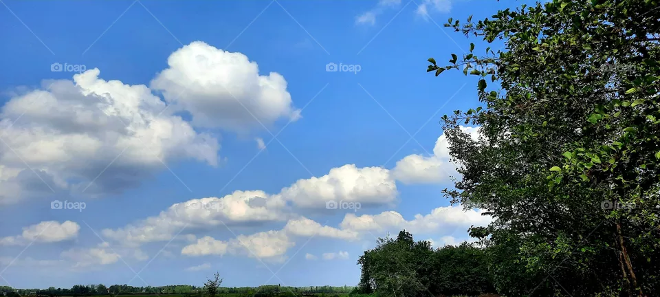 My city sky
