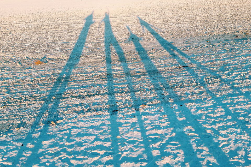 Family Beach Shot