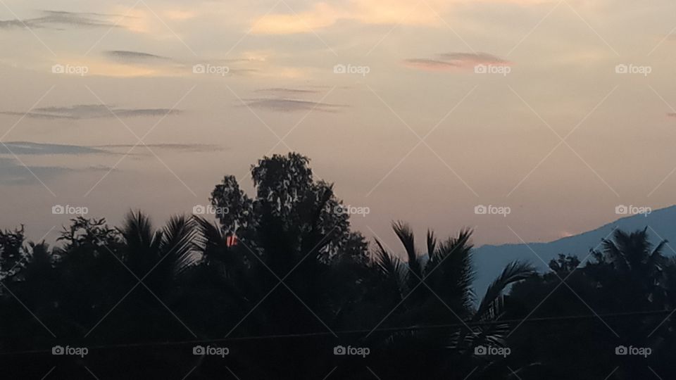 very nice clicks evening focus