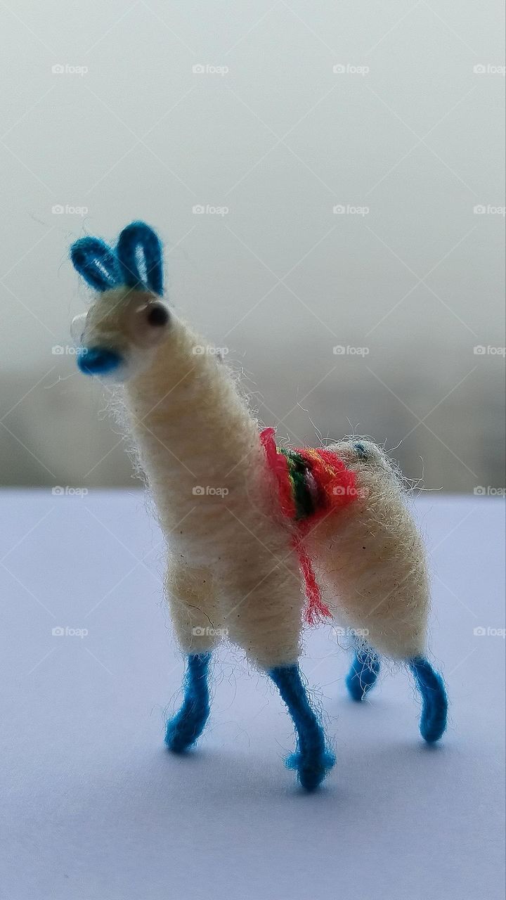 Alpaca