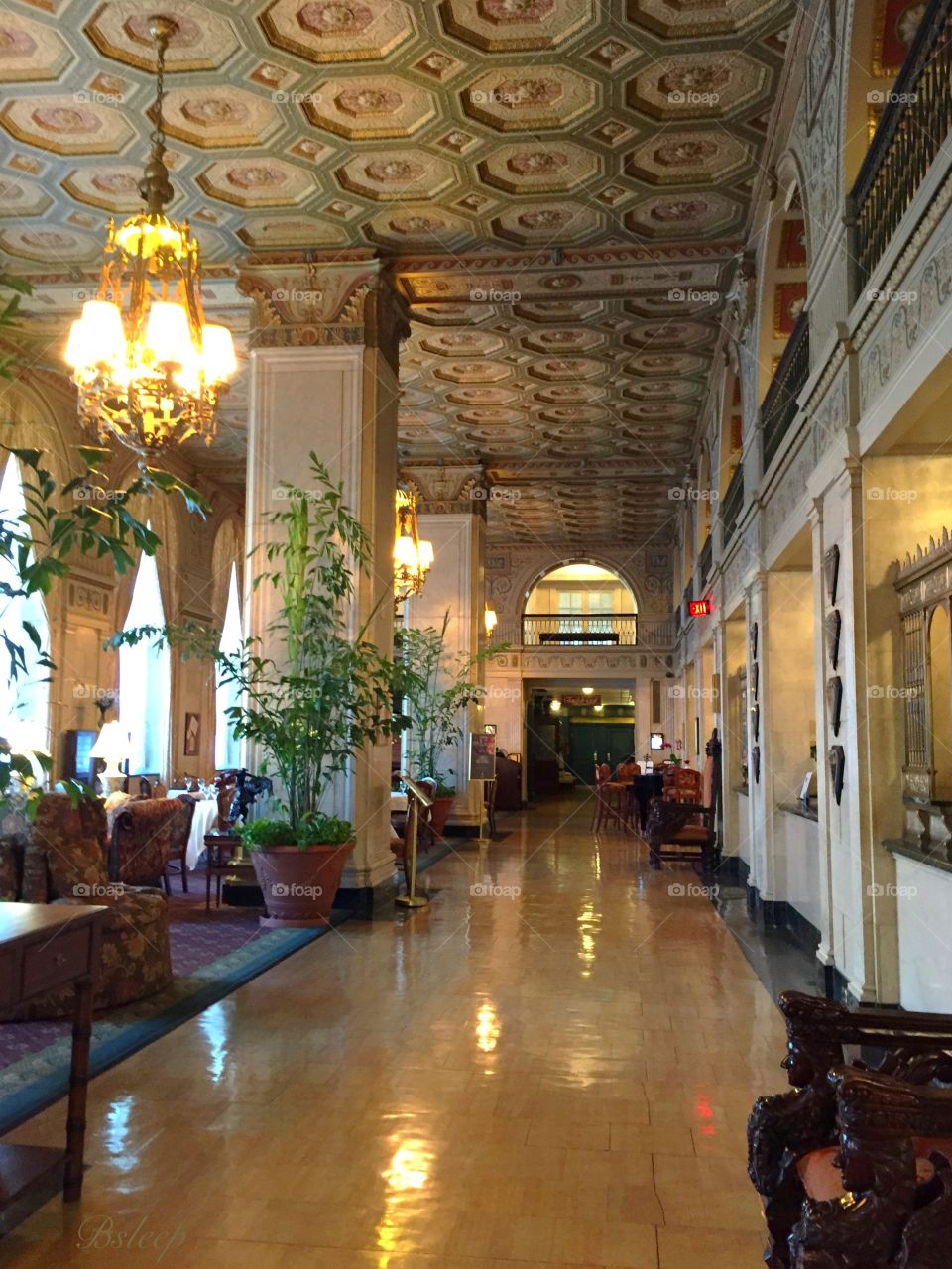 The Brown Lobby