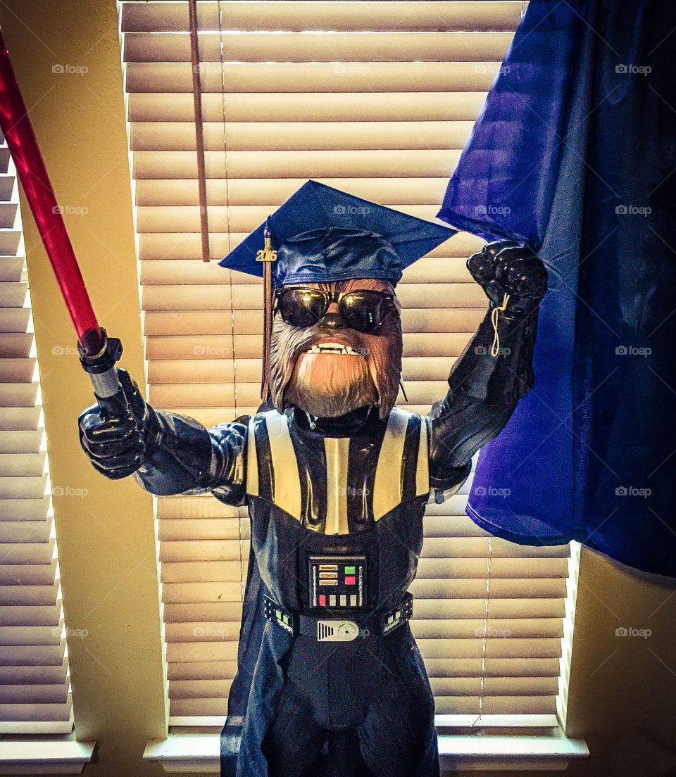 Graduation Class of 2016