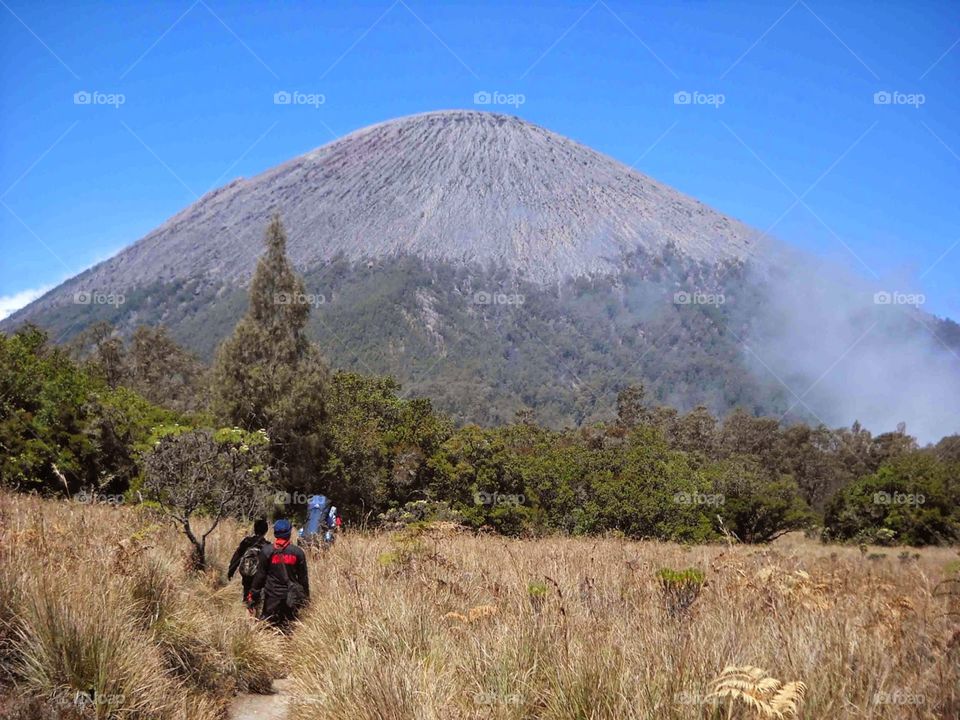 SEMERU mountain wonderful INDONESIA