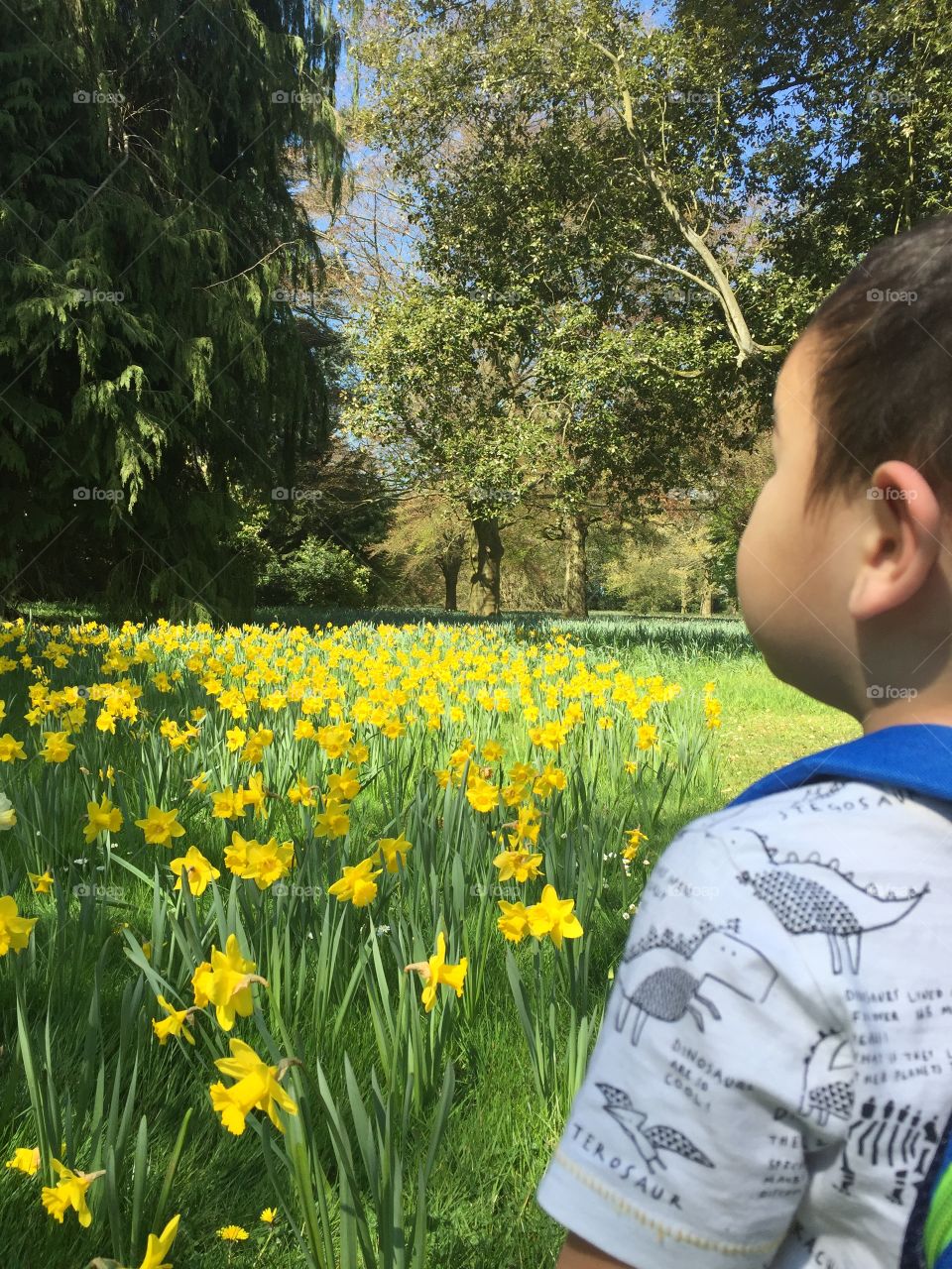 Little man appreciating the beautiful and colourful nature.  Lovely scenery.  Amazing.  