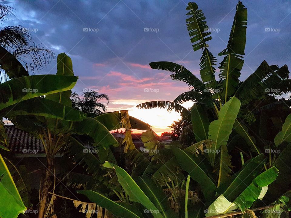 Dusk, view from the window of my apartment.