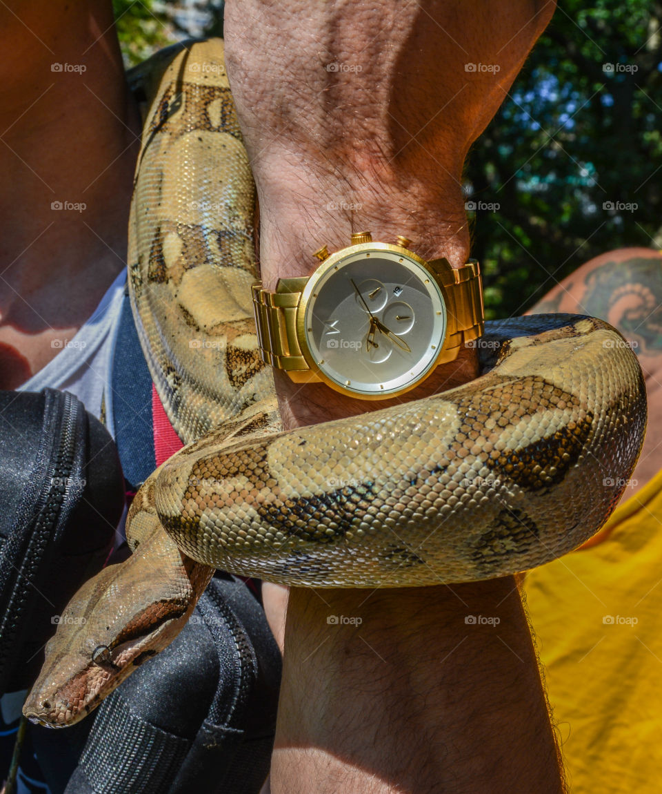 Snake leather. I just recently started shooting for MVMT watches. Felt this shot was unique and a lot of fun.