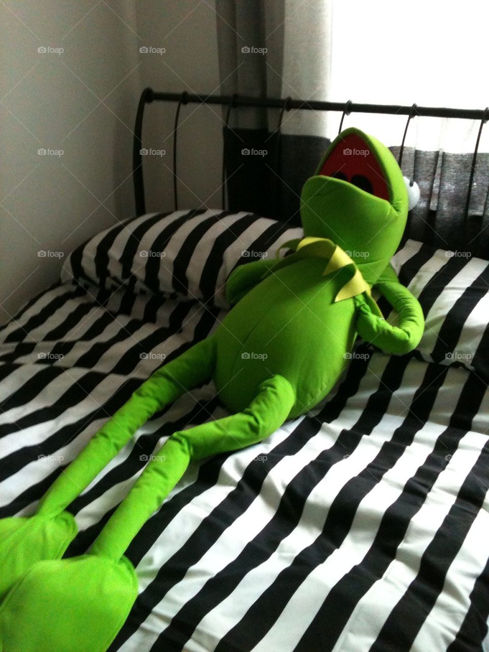 Kermit relaxing