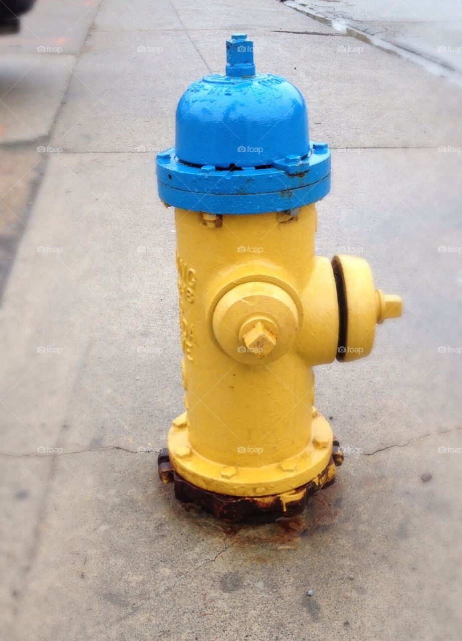 Hydrant 